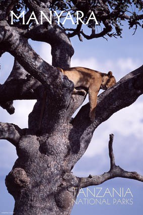 Lake Manyara National park
